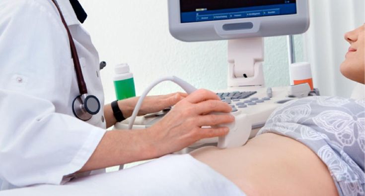 Diversidad en ecografías abdominales: ¿Qué opciones existen y cuál elegir?