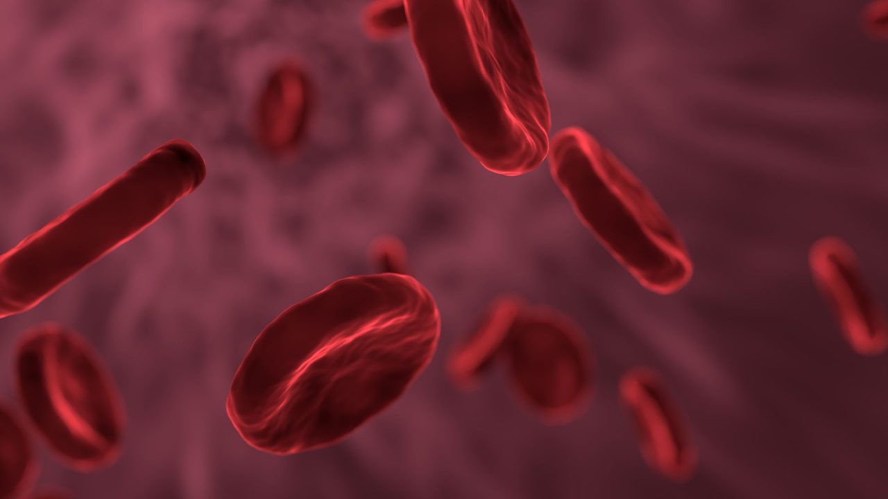 ¿Qué es la anemia? Síntomas, causas y método de diagnóstico