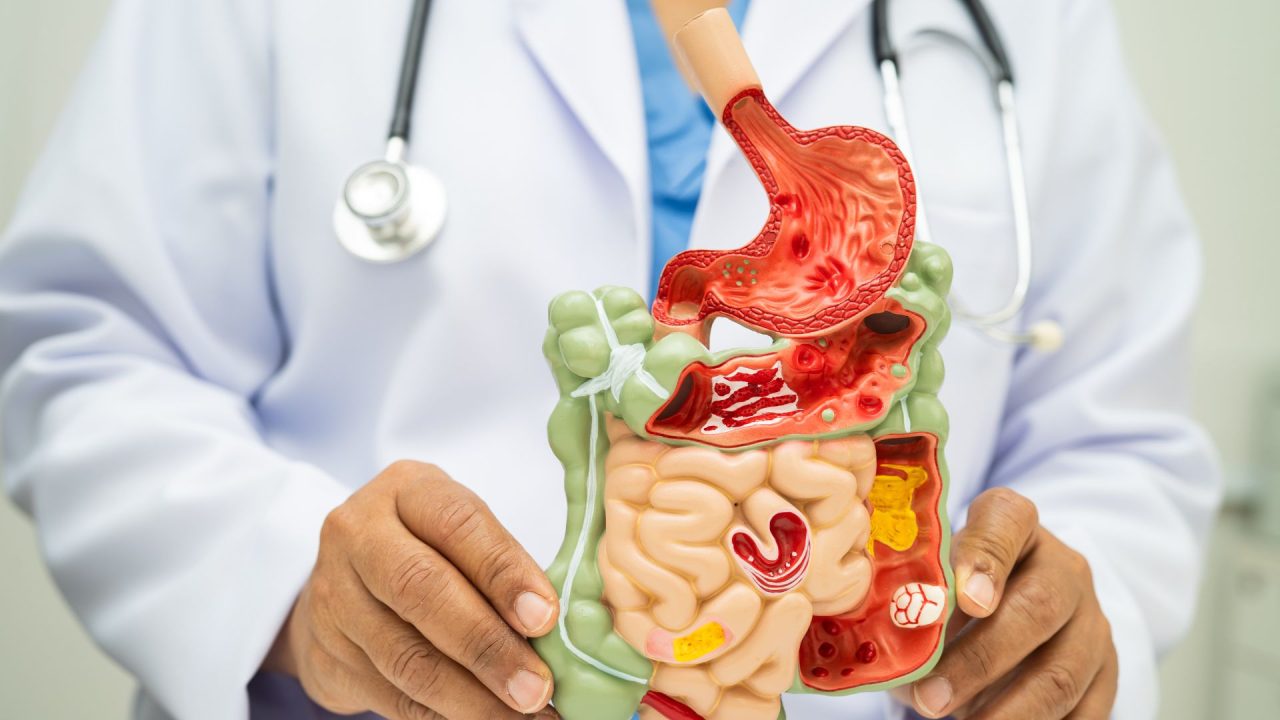 Salud digestiva: cómo mantener el equilibrio intestinal y prevenir trastornos digestivos