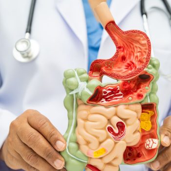 Salud digestiva: cómo mantener el equilibrio intestinal y prevenir trastornos digestivos