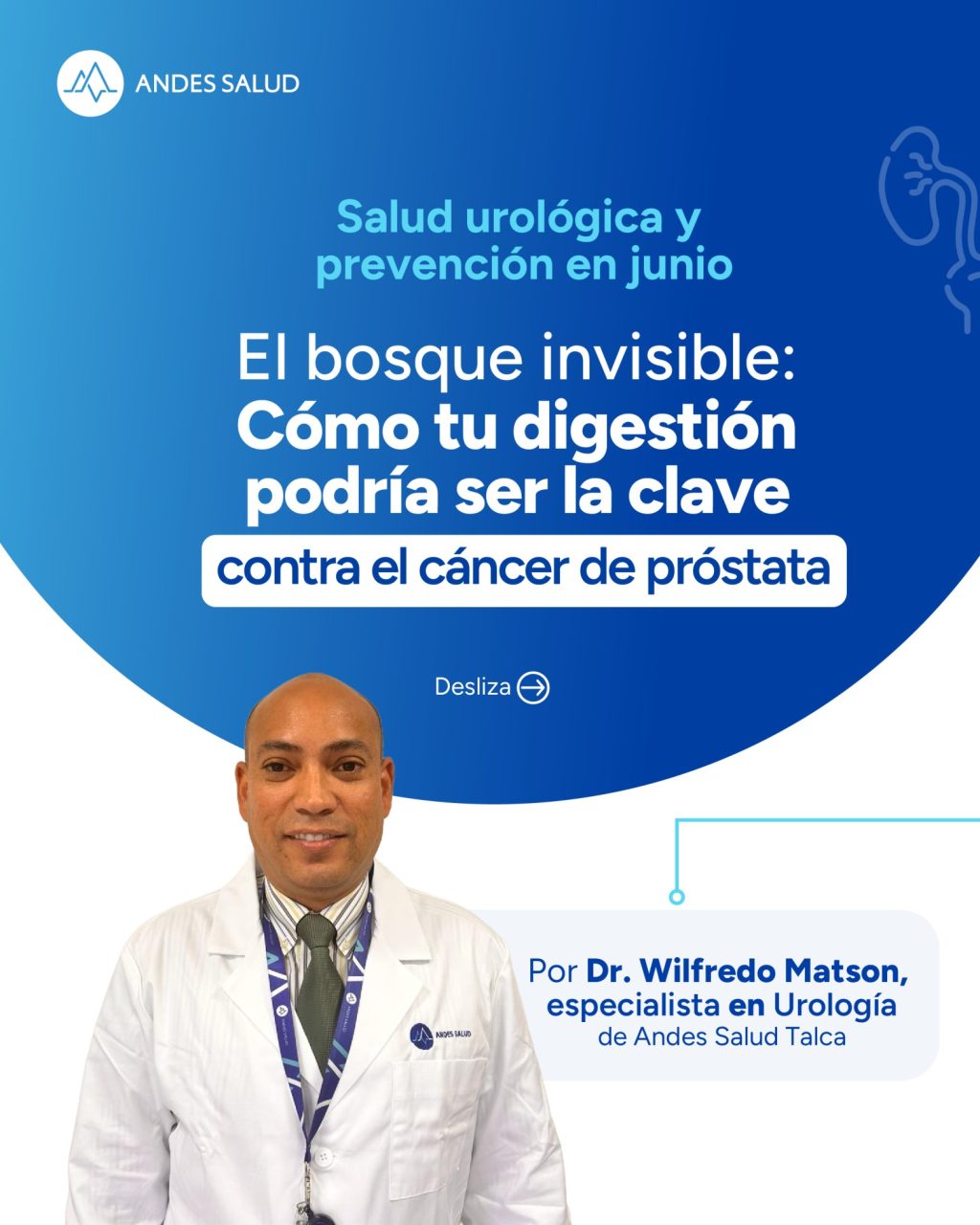El bosque invisible: Cómo tu digestión podría ser la clave contra el cáncer de próstata