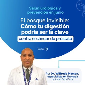 El bosque invisible: Cómo tu digestión podría ser la clave contra el cáncer de próstata